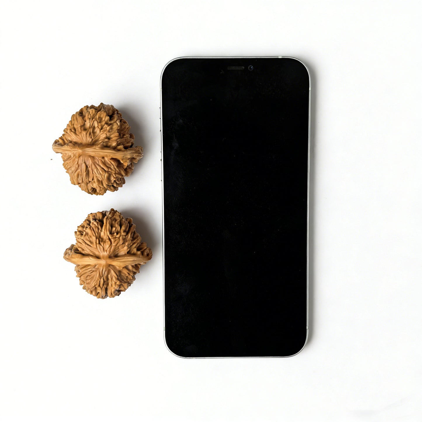 The "Si Zuo Lou" Lion Head Pair | 41.0mm x 41.0mm | SZL-1008