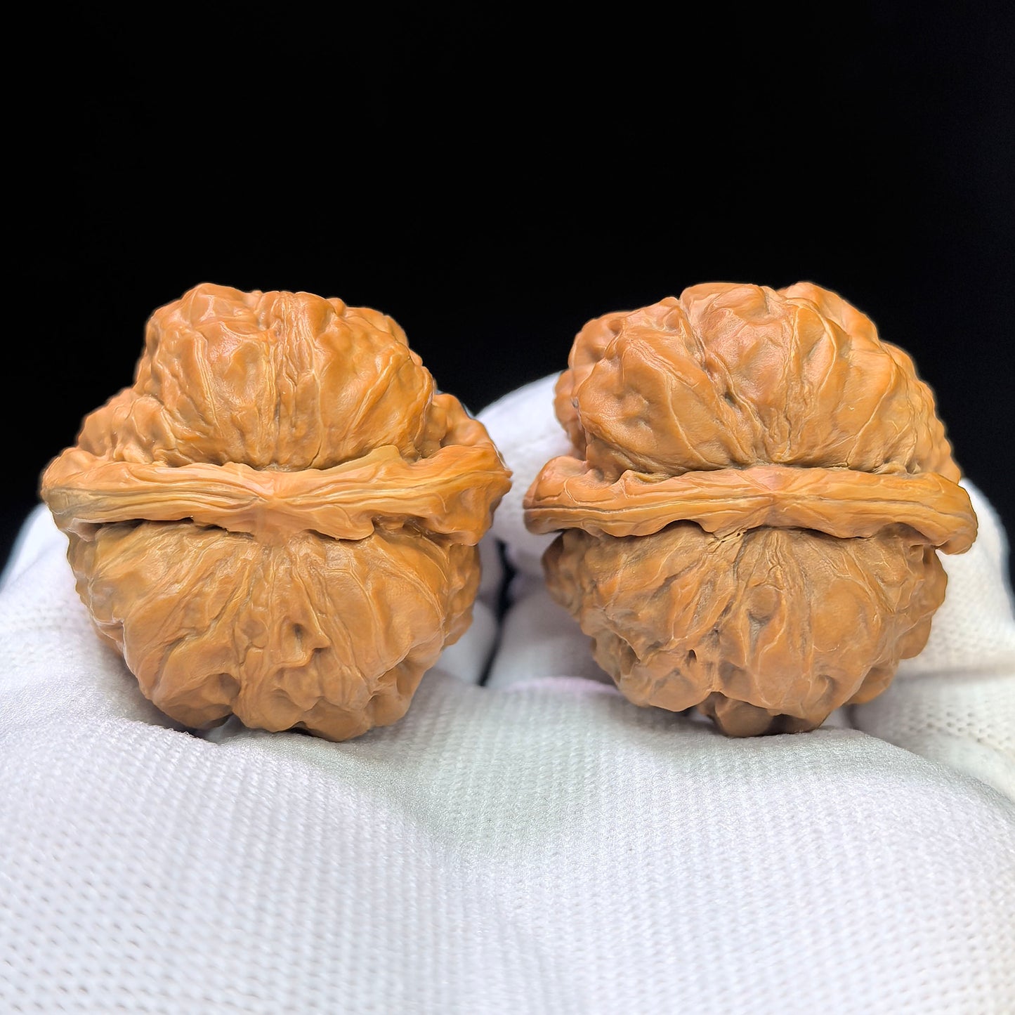 "Toad Head" Hamatou Classic Heritage Low-Profile Wenwan Walnuts Pair | 38.0mm x 38.0mm | HMT-1501C