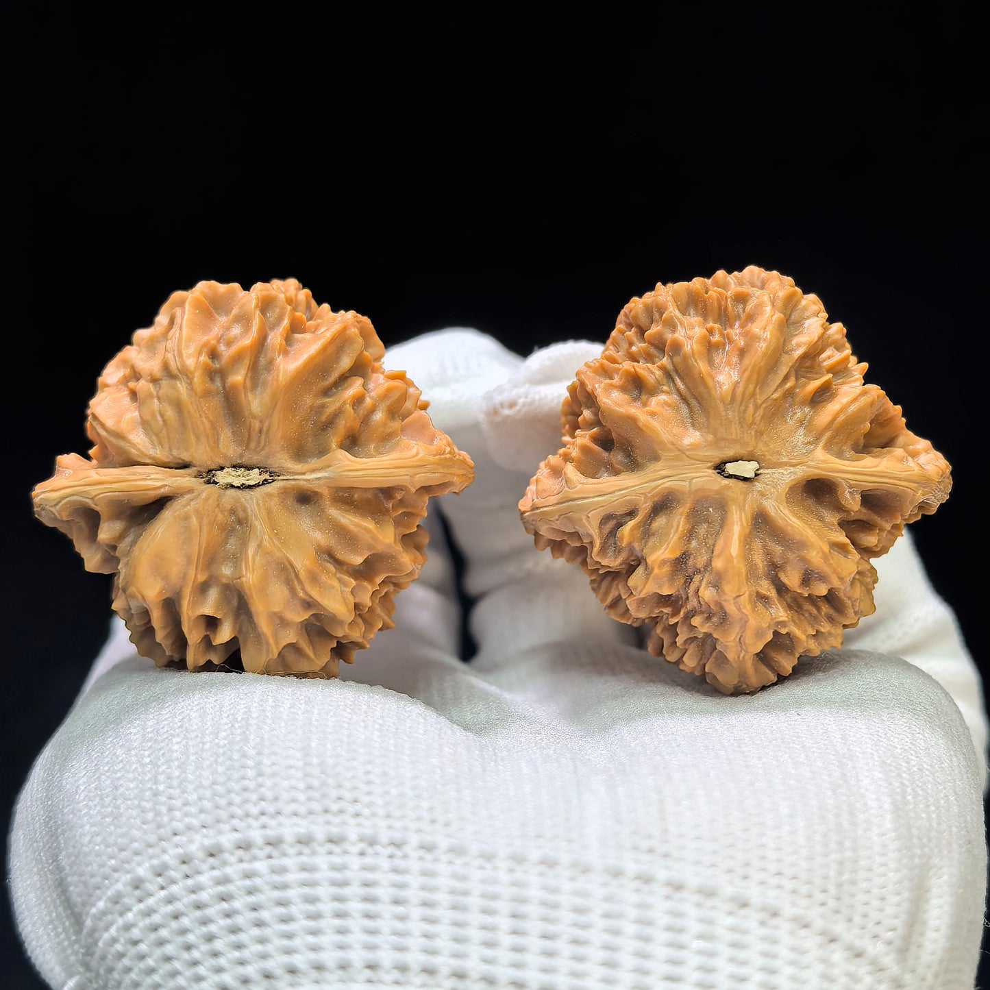 "Dragon Scale" Longlin LL-1601 Classic Wenwan Walnuts Pair | 40.0mm x 39.0mm | LL-1601