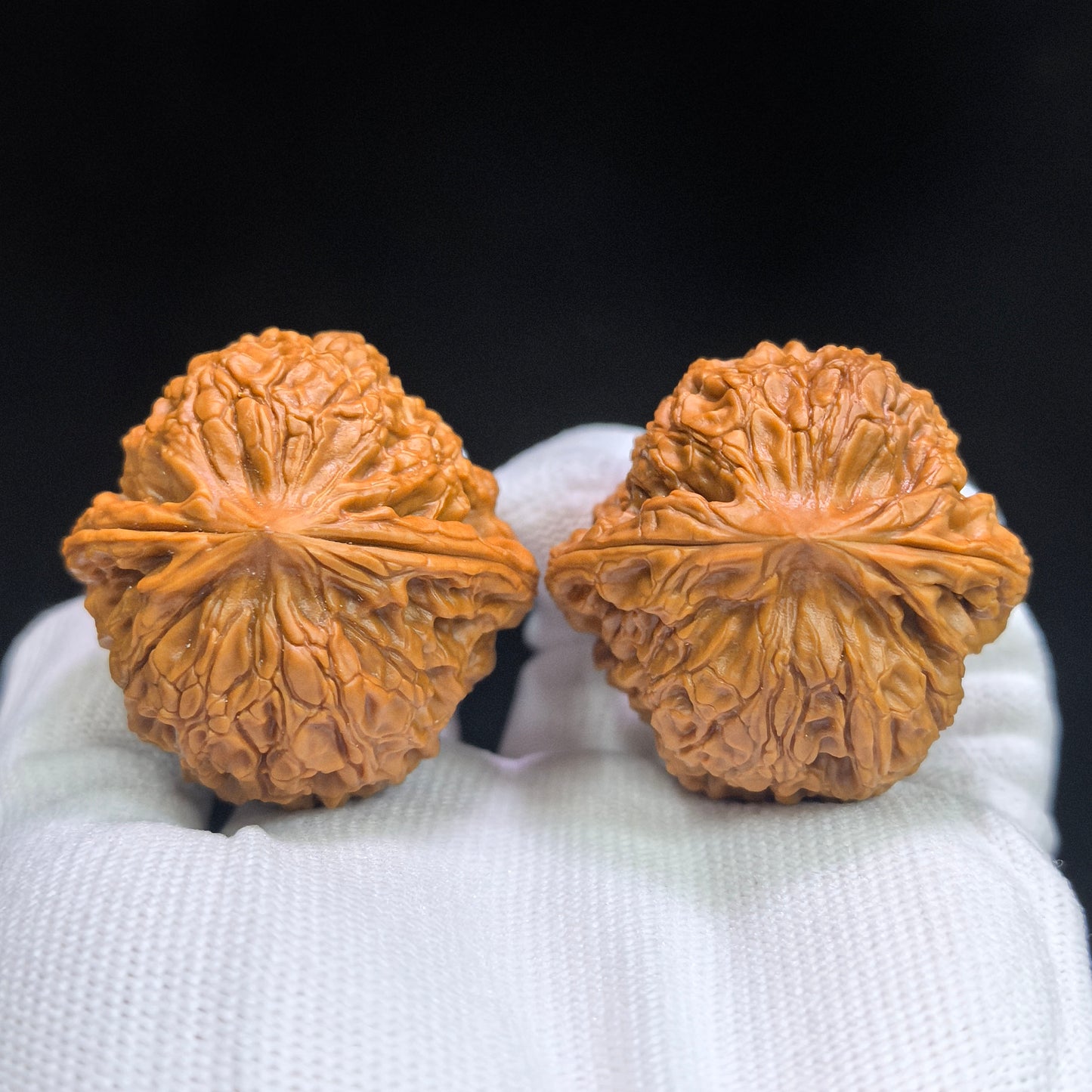 "Grand Reunion / Great Sphere" Datuanyuan DTY-17C6C Low-Profile Wenwan Walnuts Pair | 41.0mm x 41.0mm | DTY-17C6C