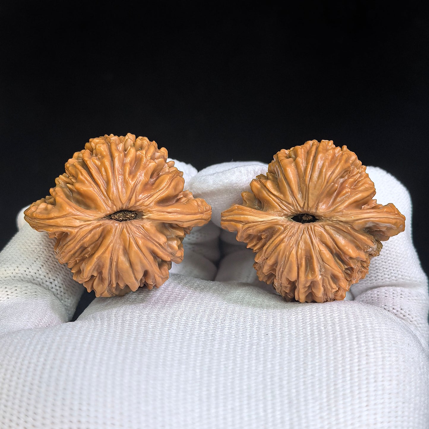 "Han High Tower" Hangao Lou HGL-SY1A3 Low-Profile Wenwan Walnuts Pair | 39.0mm x 34.0mm | HGL-SY1A3