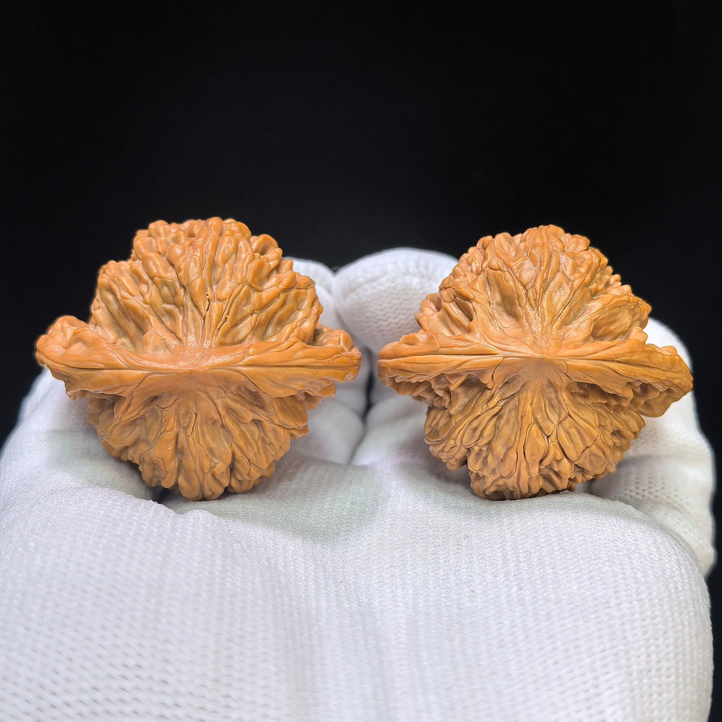 "Shuiquangou Prince Hat" Shuiquangou Gongzimao Wenwan Walnuts Pair | 42.0mm x 37.0mm | SQGGZM-01SY
