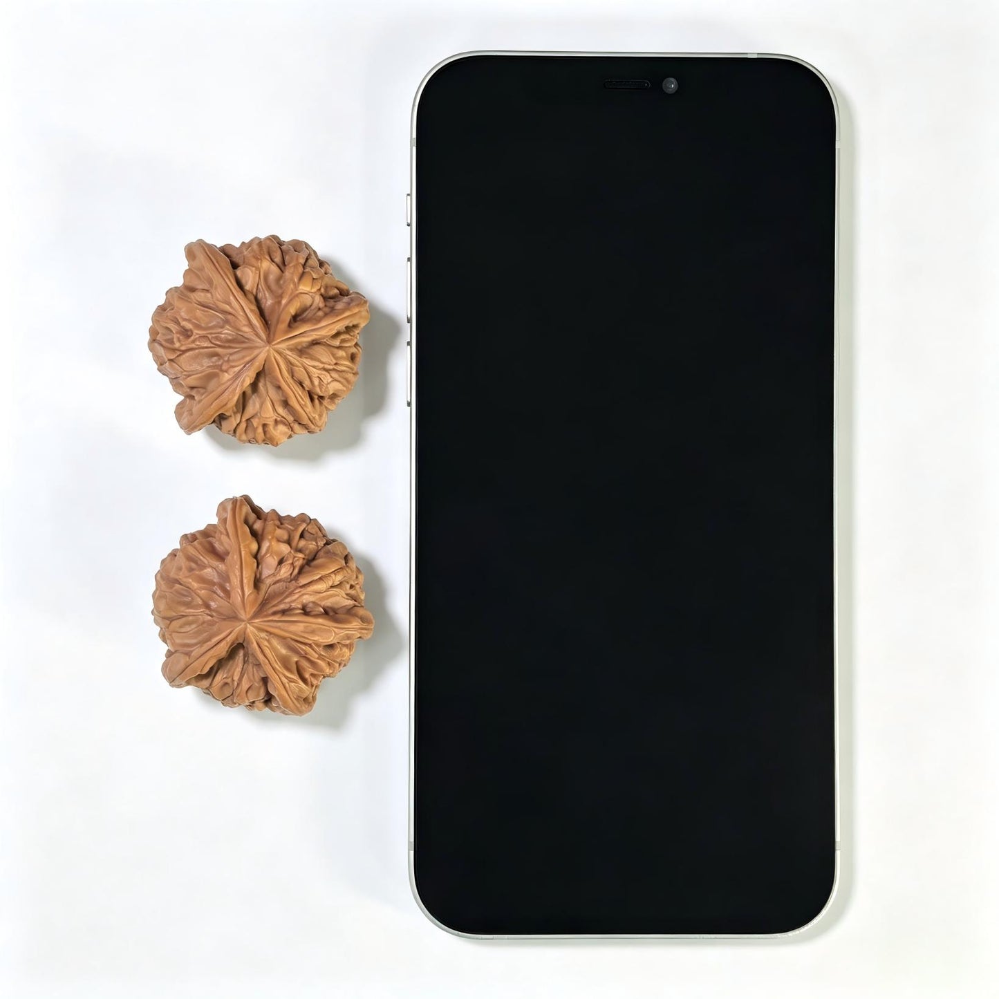 "Imperial Jade Seal X-Men" Yuxi Sileng X-Zhanjing Four-Ribbed Wenwan Walnuts Pair | 36.0mm x 37.0mm | YSFN-C229E