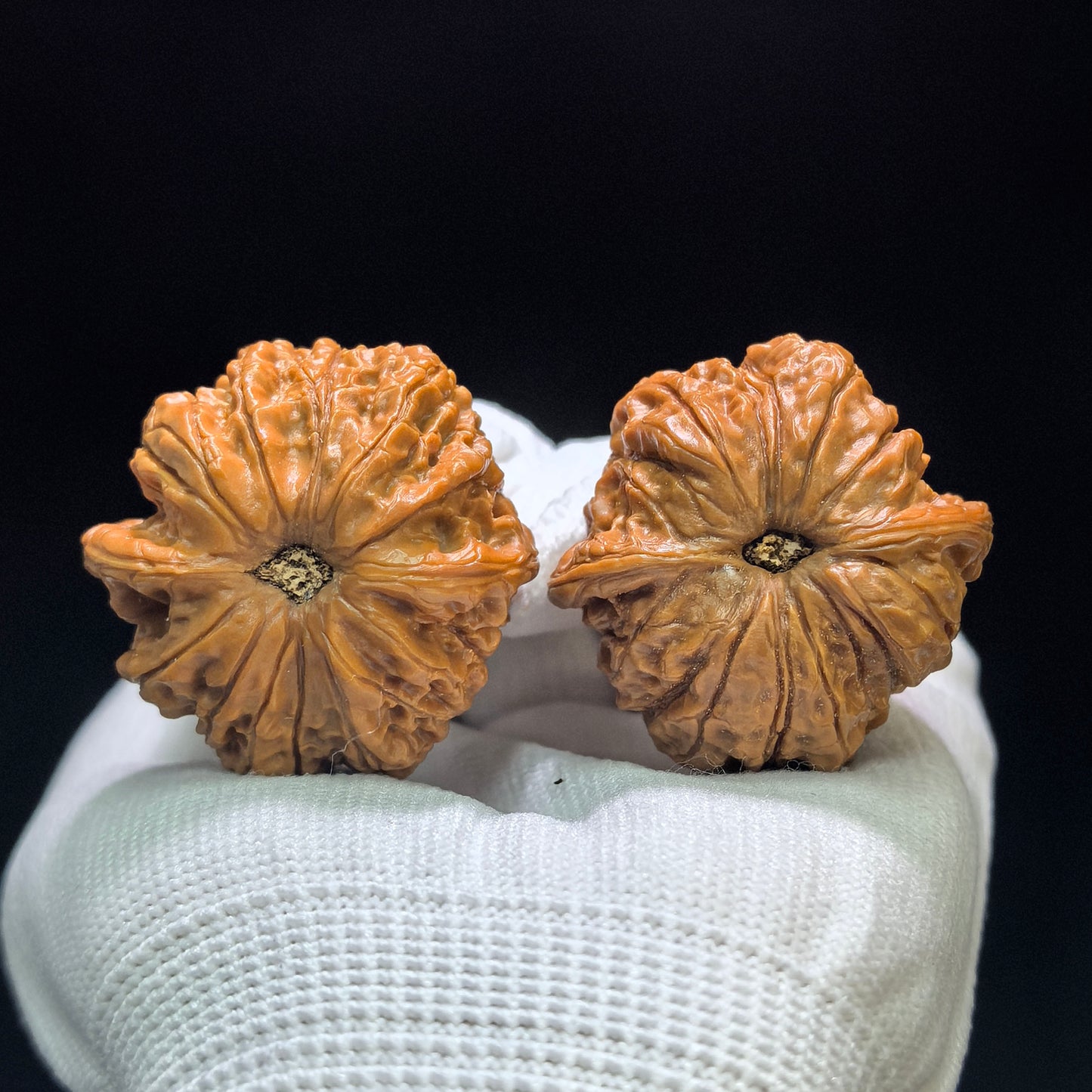 "Blood Qilin" Xue Qilin XQL-1601 Low-Profile Wenwan Walnuts Pair | 38.0mm x 38.0mm | XQL-1601