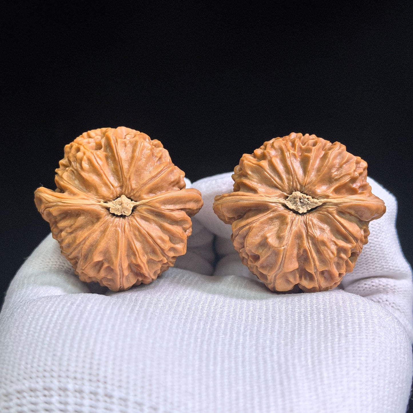 "Palace Lantern" Gongdeng GD-SY1A8 Low-Profile Wenwan Walnuts Pair | 40.0mm x 40.0mm | GD-SY1A8