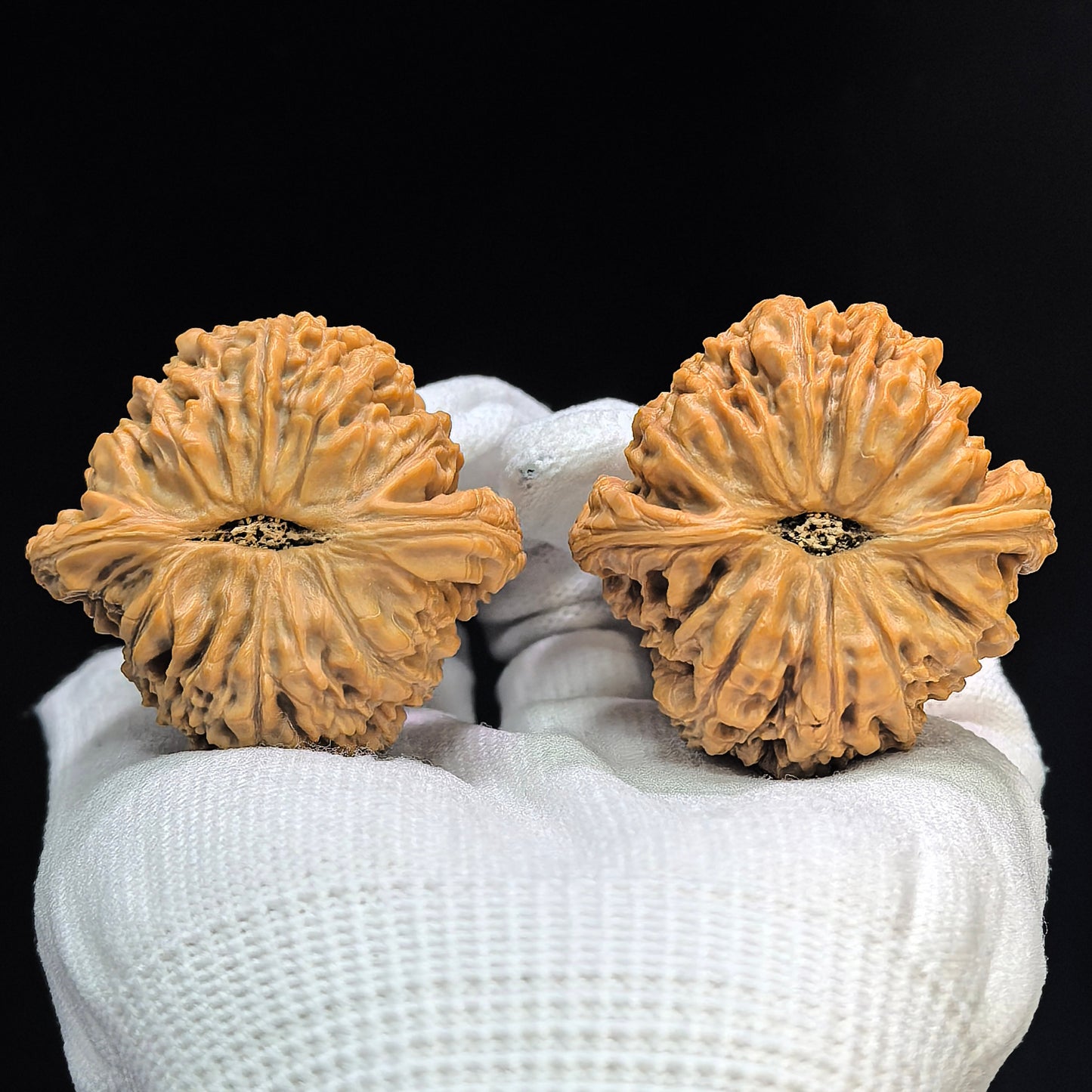 "Spherical Nanjiangshi Lionhead" Qiuxing Nanjiangshi NJS-1501C Low-Profile Wenwan Walnuts Pair | 44.0mm x 44.0mm | NJS-1501C
