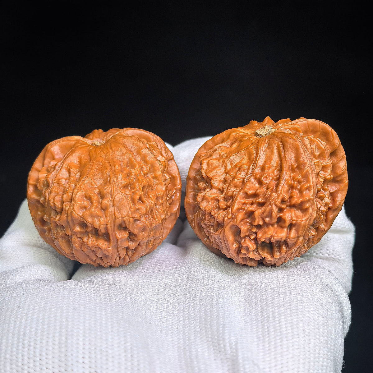 Pufferfish-Profile “White Lion Half-Wall” Wenwan Walnut Pair — 44.0mm x 41.0mm / 42.0mm x 39.0mm | BSZBB-1401E