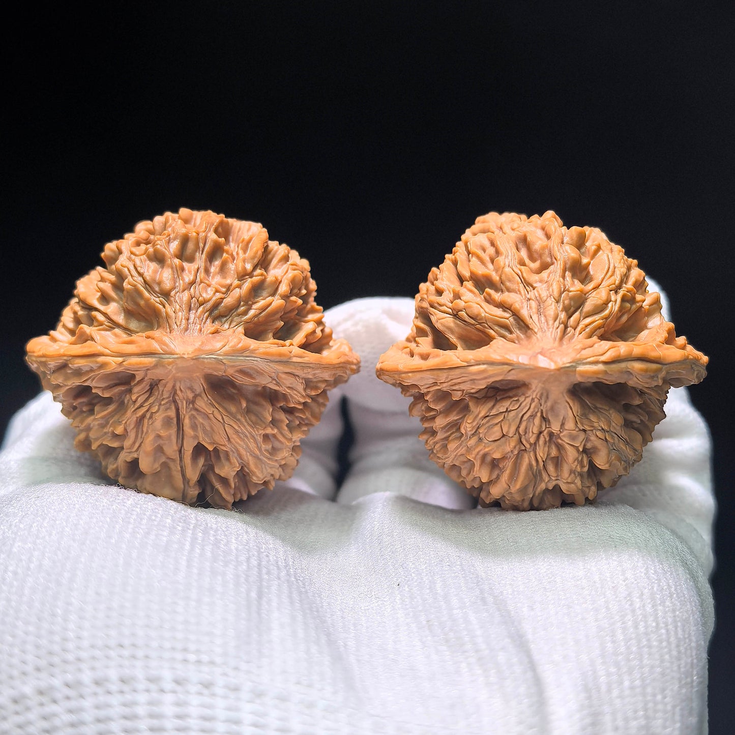 The Exquisite "Angel Wings" Yuqilin Lion Head Masterpiece | 42.0mm x 40.0mm | YQL-1401