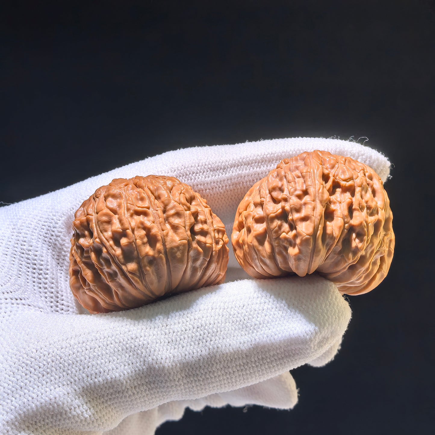 The Rare "Flying Snake" Lion Head (Fei She) Matched Pair | 34.0mm x 37.0mm | FSST-1201E