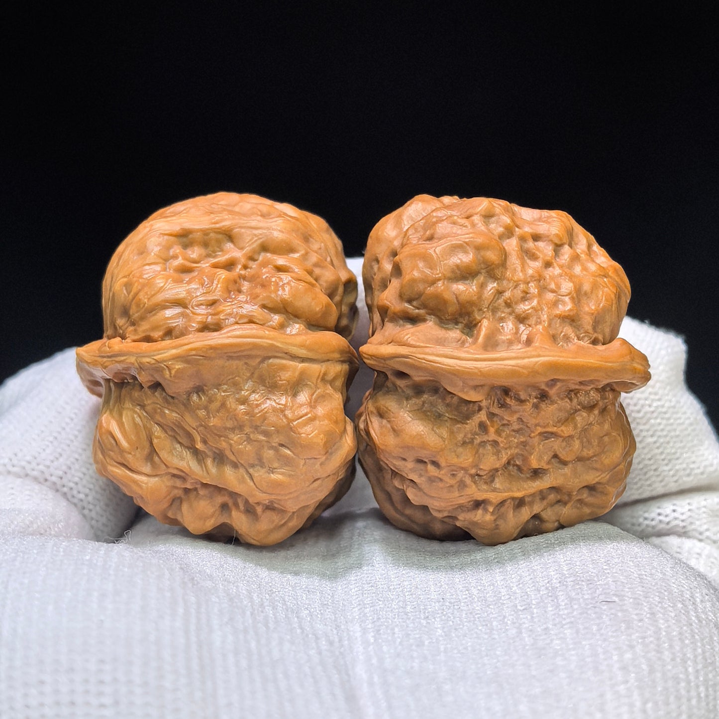 "Toad Head Hawk-Beak Vulture" (Hamatou Yingzui Zuoshandiao) Scholar Walnuts Pair | 37.0mm x 41.0mm | Inverse Deep-Belly Profile | Singularities Grade Masterpiece | Stock ID: HMTYZZSD-CG202E