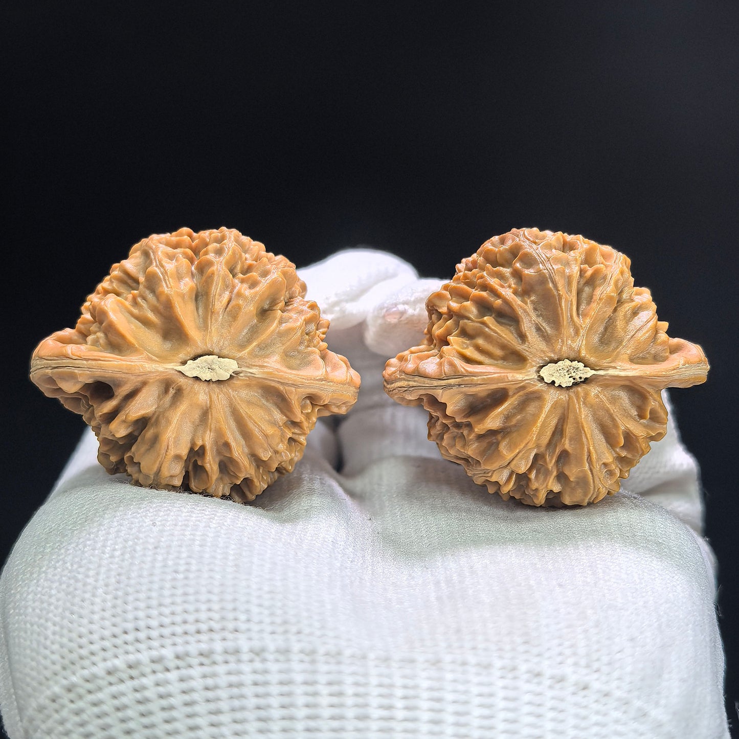 "Palace Lantern" Gongdeng Wenwan Walnuts Pair | 40.0mm x 35.0mm | GD-1405