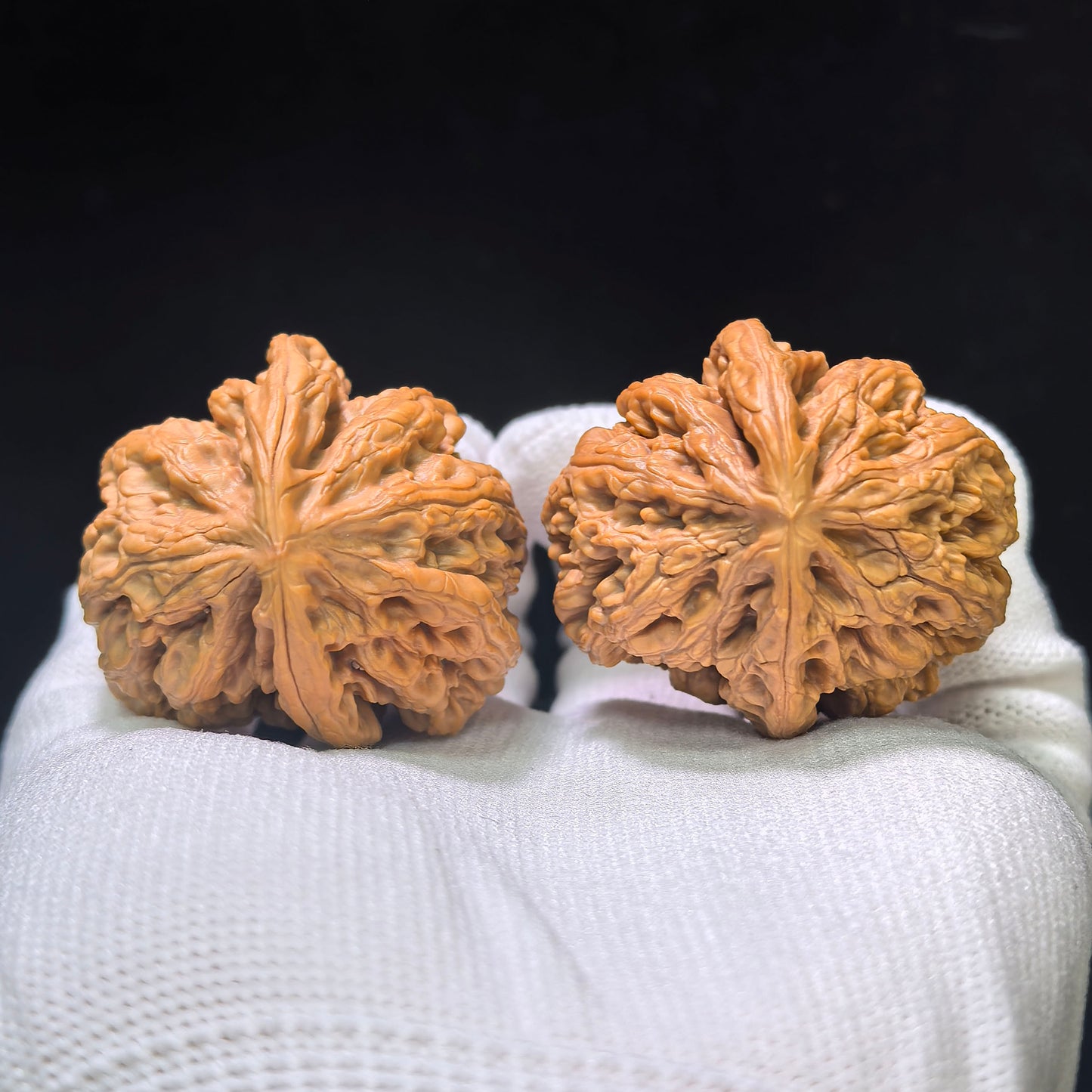 "Thick Ridge Lord of the Mountain Half-Wall" Cujin Zashandiao Banbi Wenwan Walnuts Pair | 39.0mm x 41.0mm | CJZSDBB-CG215E