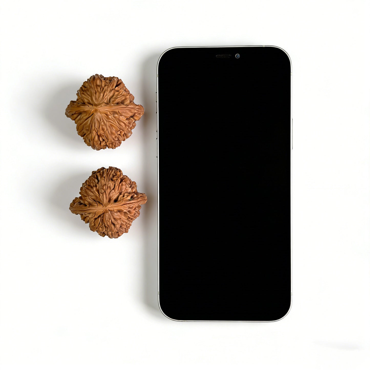 The "Lion Head" (Shi Zi Tou) Pair | Boutique Grade | 39.0mm x 38.0mm | SZT-401C