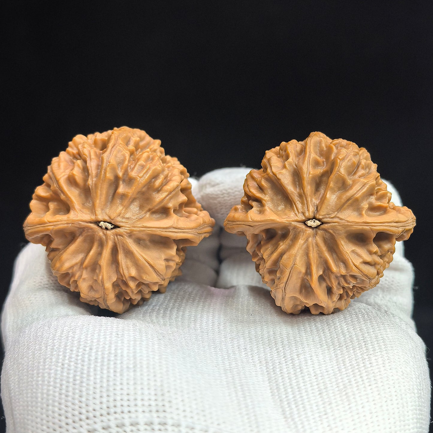 "Beijing Chicken Heart" Beijing Jixin BJJX-17A5C Wenwan Walnuts Pair | 44.0mm x 44.0mm | BJJX-17A5C