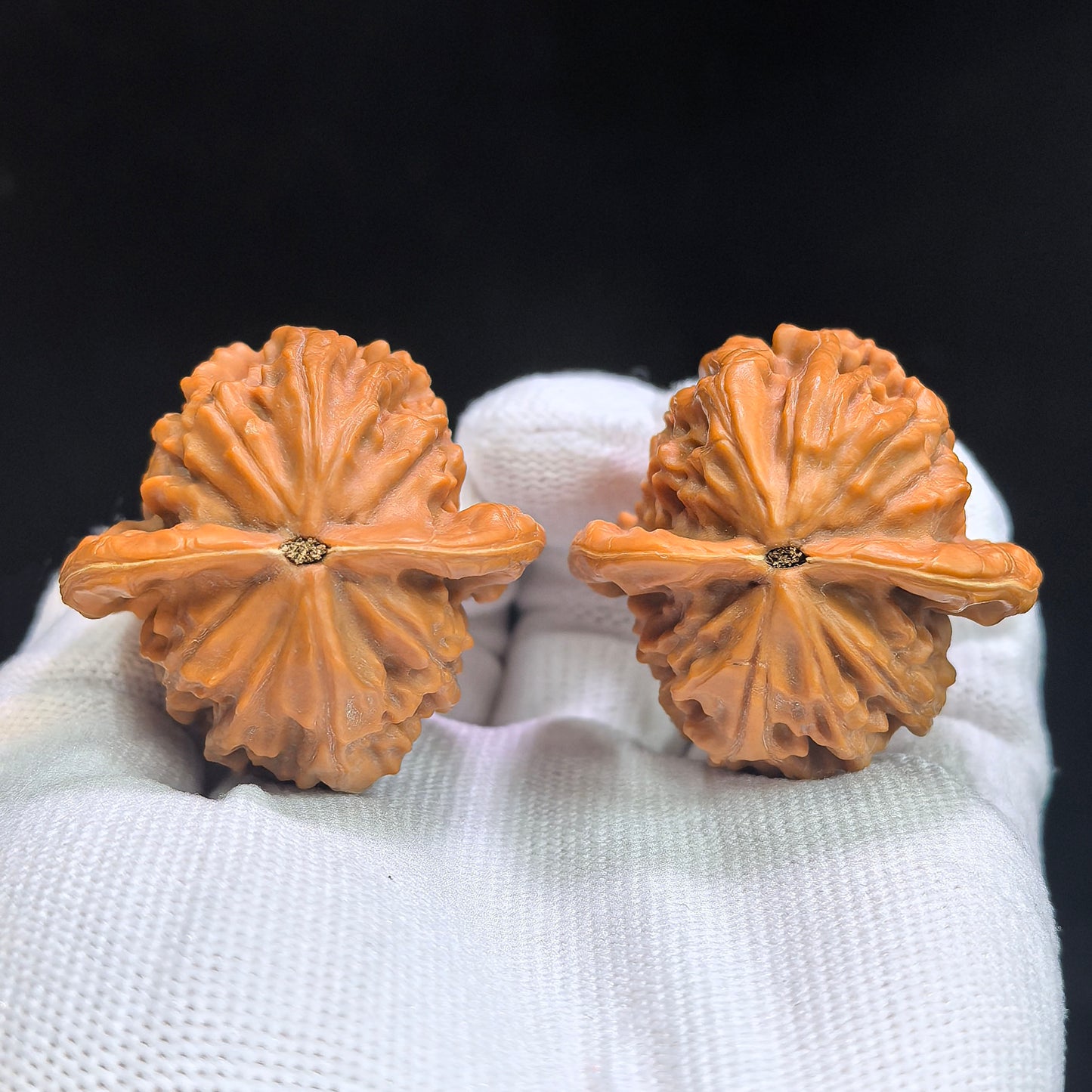 "Big Red Robe" Dahongpao DHP-17D7 Low-Profile Wenwan Walnuts Pair | 39.0mm x 39.0mm | DHP-17D7