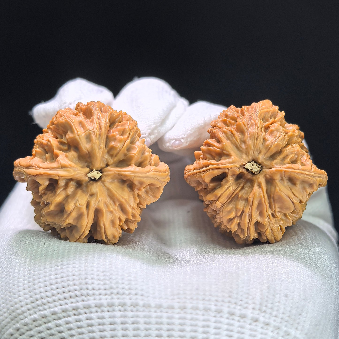 "Rain Flower Stone" Yuhuashi Wenwan Walnuts Pair | 35.0mm x 34.0mm | YHS-1401