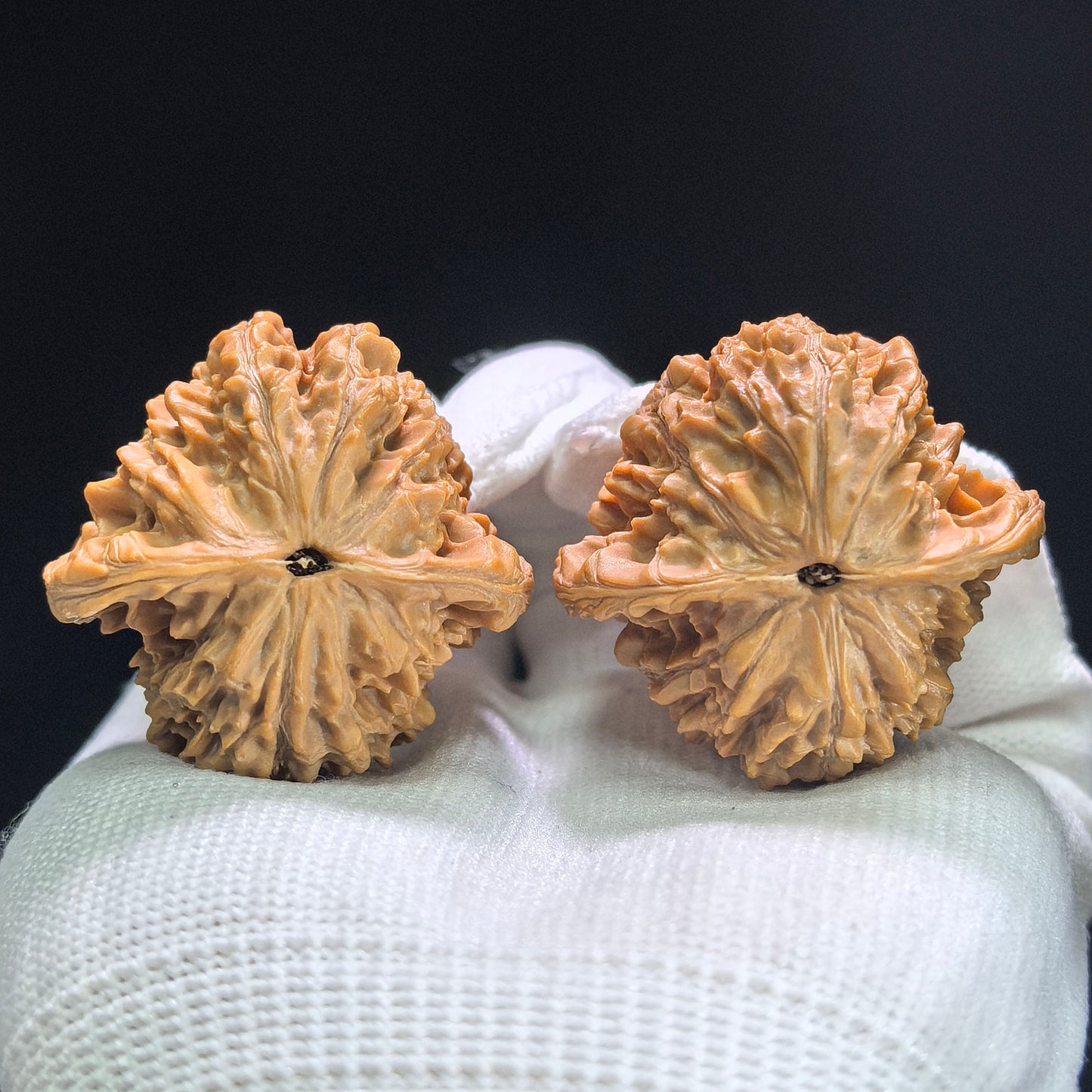 "Peach Heart Xiayun Ridge" Taoxin Xiayunling XYL-1405 Low-Profile Wenwan Walnuts Pair | 39.0mm x 37.0mm | XYL-1405