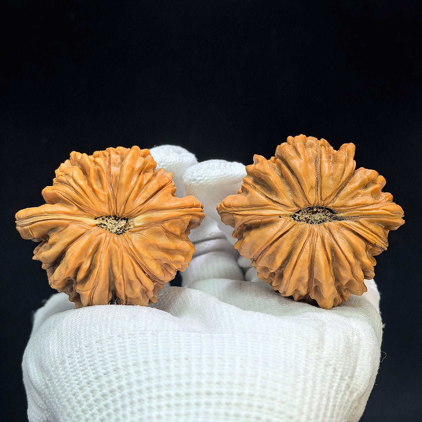 "Huakun Dragon" Hua Kun Long Wenwan Walnuts (Pair) | 48.0mm x 47.0mm | Stock ID: HKL-1505C