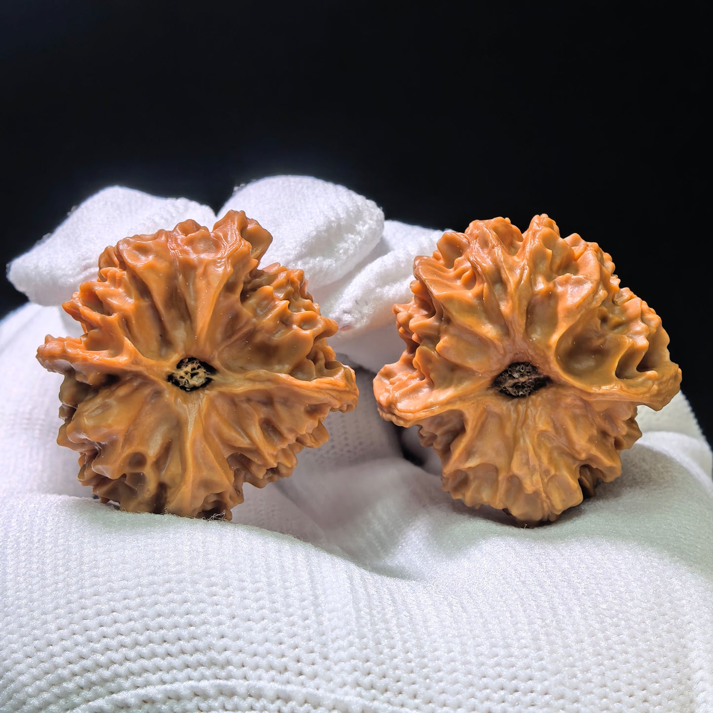 "Mini Wild Specimen" Xiao Yasheng (Shounian) YS-1105 Pocket-Sized Wenwan Walnuts Pair | 31.0mm x 31.0mm | YS-1105