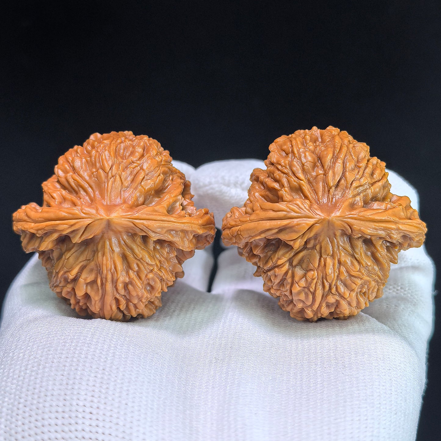 The "Nanjiang Stone" (NJS) Premium Lion Head Pair | 45.0mm x 42.0mm | NJS-1033C