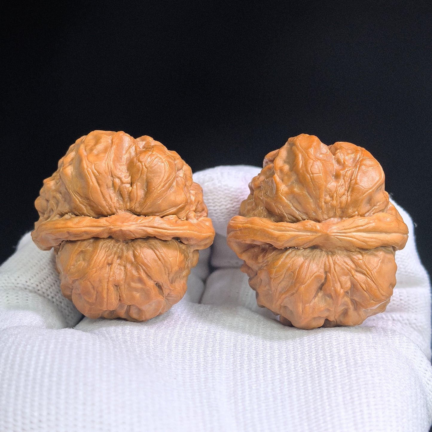 "Toad Head" Hamatou HMT-SY1G5 Classic Wenwan Walnuts Pair | 37.0mm x 37.0mm | HMT-SY1G5