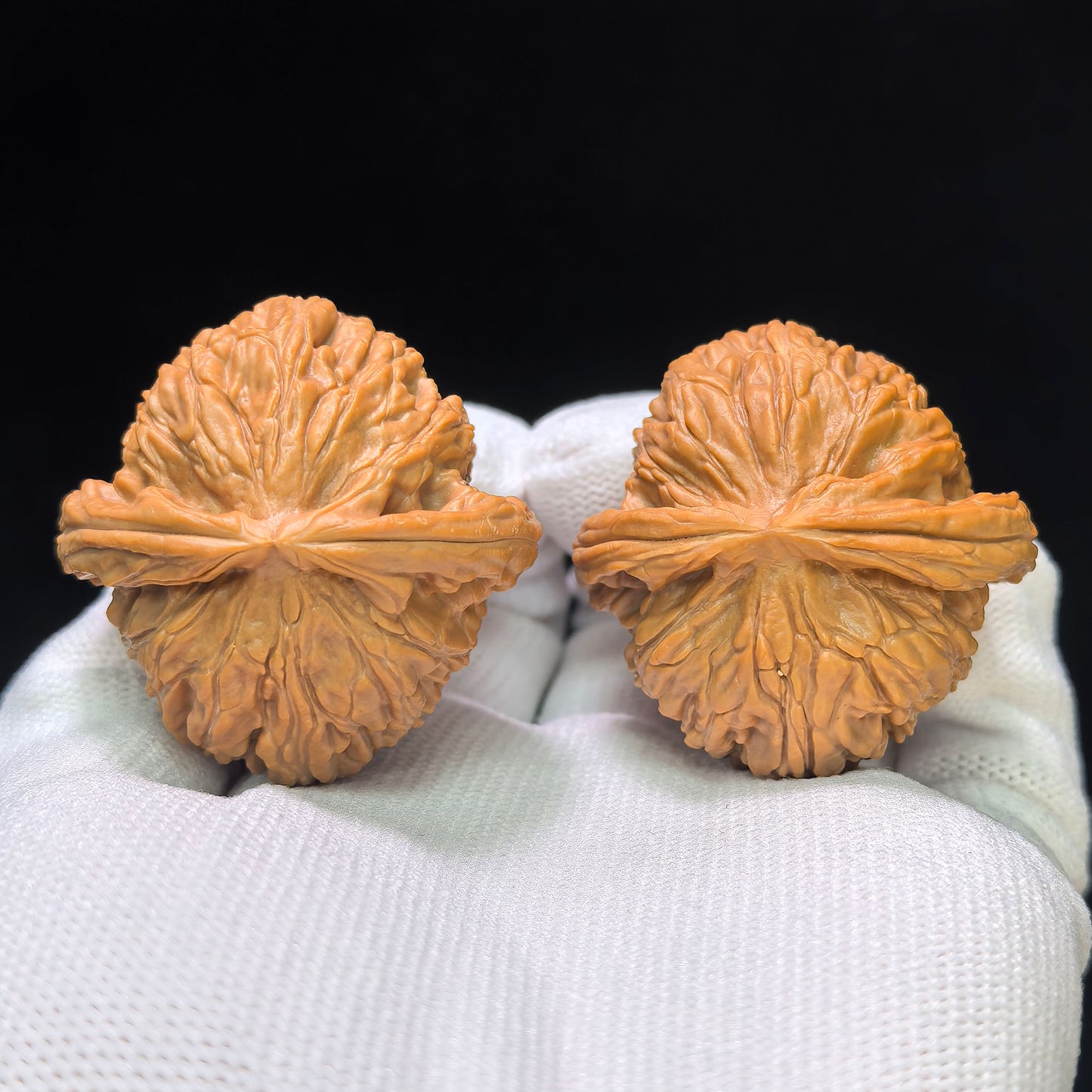 "Recessed Apex Spherical White Lion" Menjian Qiuxing Baishizi Low-Profile Wenwan Walnuts Pair | 39.0mm x 39.0mm | BSJ-1505C