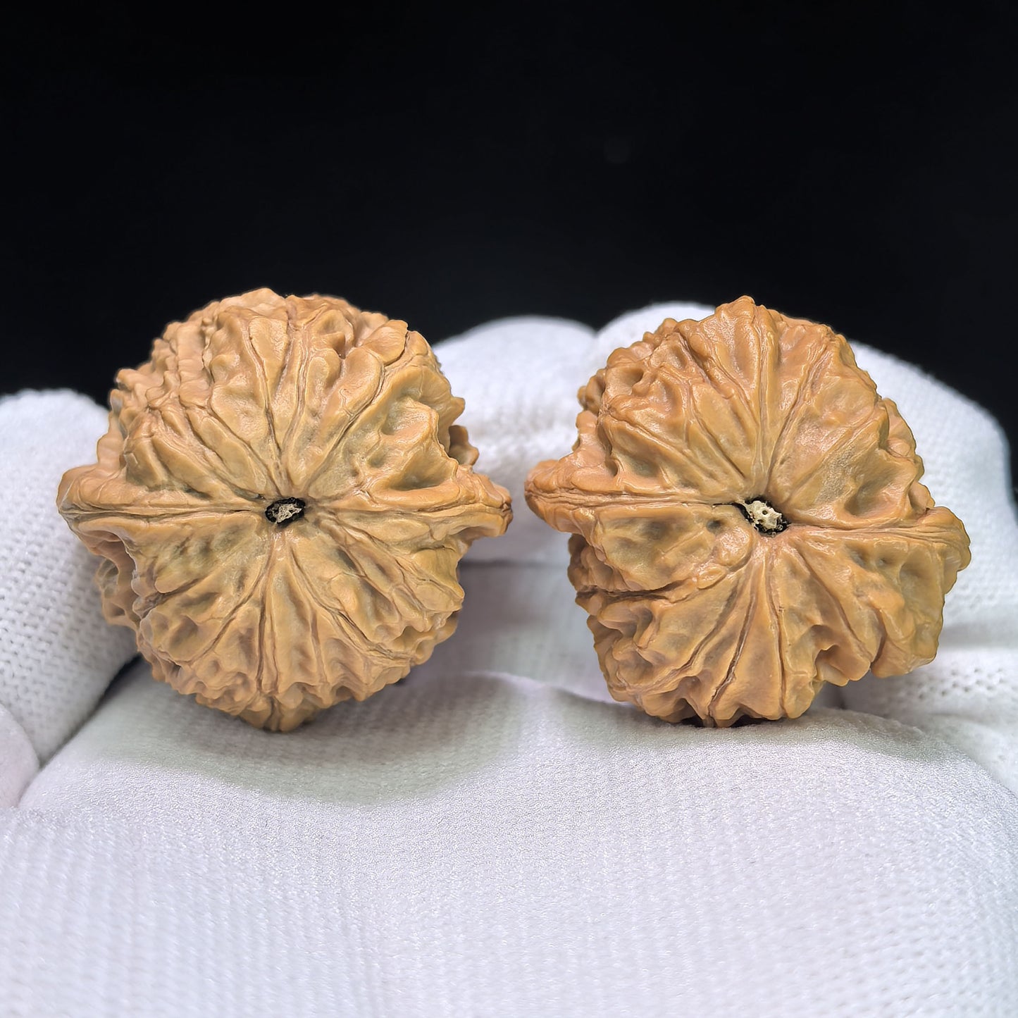 "Rain Flower Pebble" Yuhuashi YHS-1105 Pocket-Sized Wenwan Walnuts Pair | 32.0mm x 32.0mm | YHS-1105