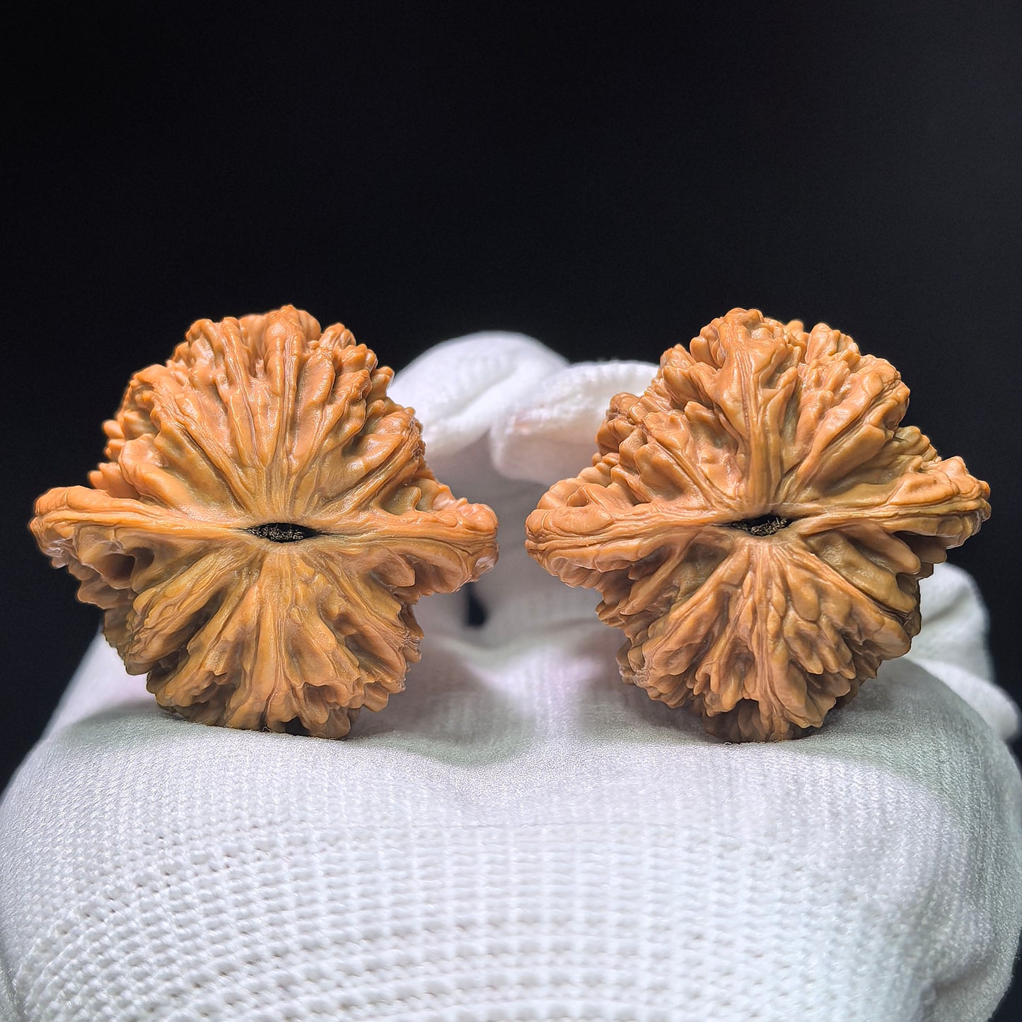 "Wheat Ear Tiger Head" Maisui Hutou MSHT-1404 Classic Wenwan Walnuts Pair | 40.0mm x 38.0mm | MSHT-1404