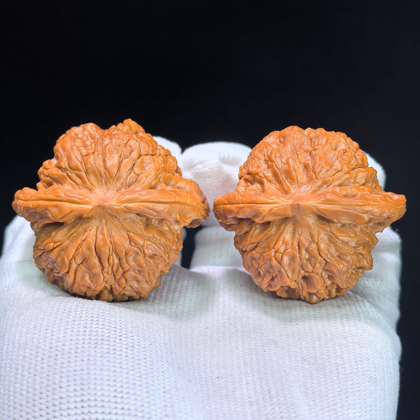 Premium Xue Qi Lin Wenwan Walnuts 45x42mm - Pair #XQL-1301C - Blood Kylin Lion Head Hand Exerciser - Heavy Scale Texture Fidget Toy