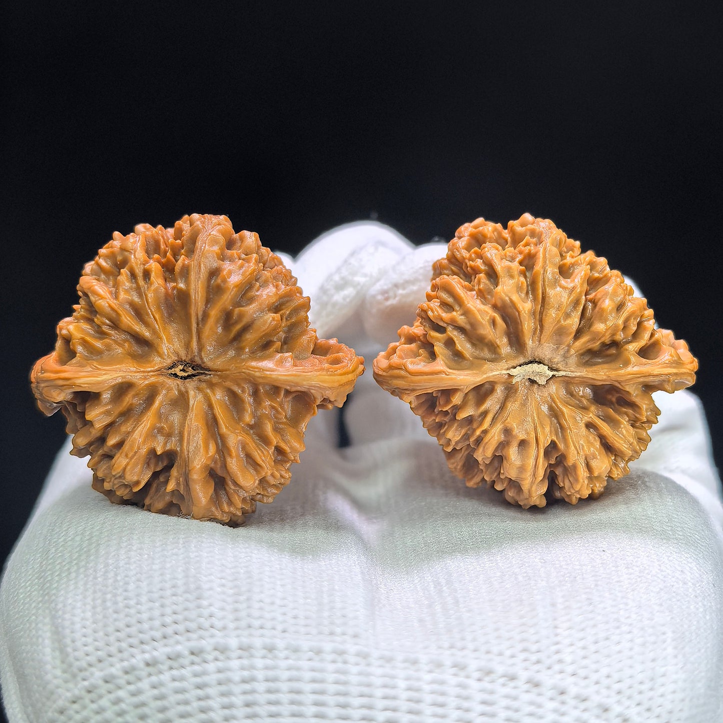 "Peach Heart Concave Base Starry Sky" Taoxin Aodi Mantianxing MTX-1408 Classic Wenwan Walnuts Pair | 39.0mm x 37.0mm | MTX-1408