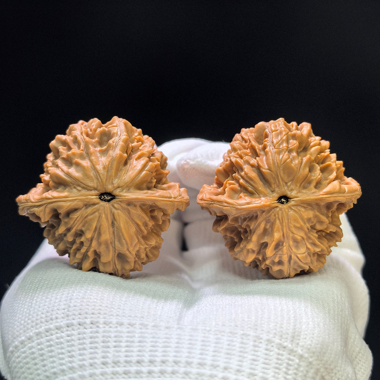 "Golden Kylin" Jinqilin Wenwan Walnuts (Pair) | 41.0mm x 38.0mm | Stock ID: JQL-1403