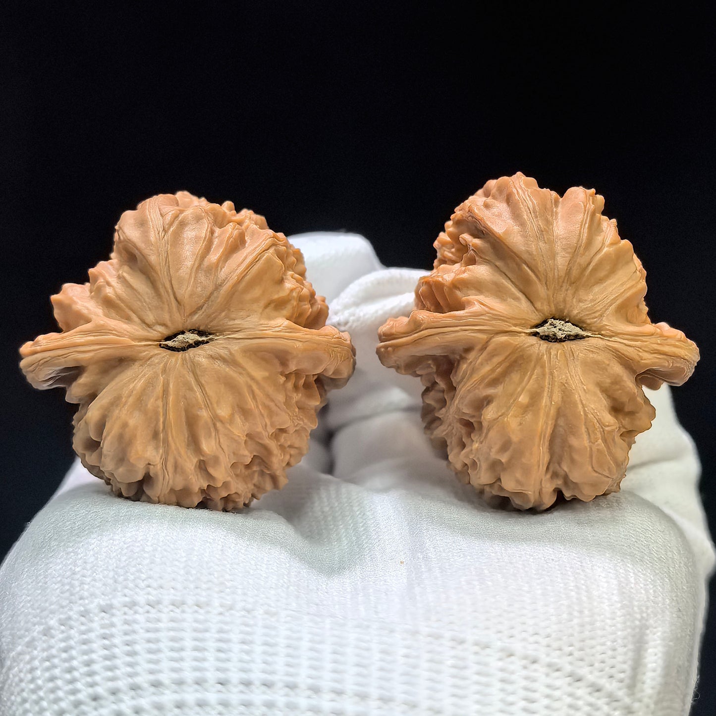 "White Lionhead" Baishizi BSZ-1601 Low-Profile Wenwan Walnuts Pair | 40.0mm x 41.0mm | BSZ-1601