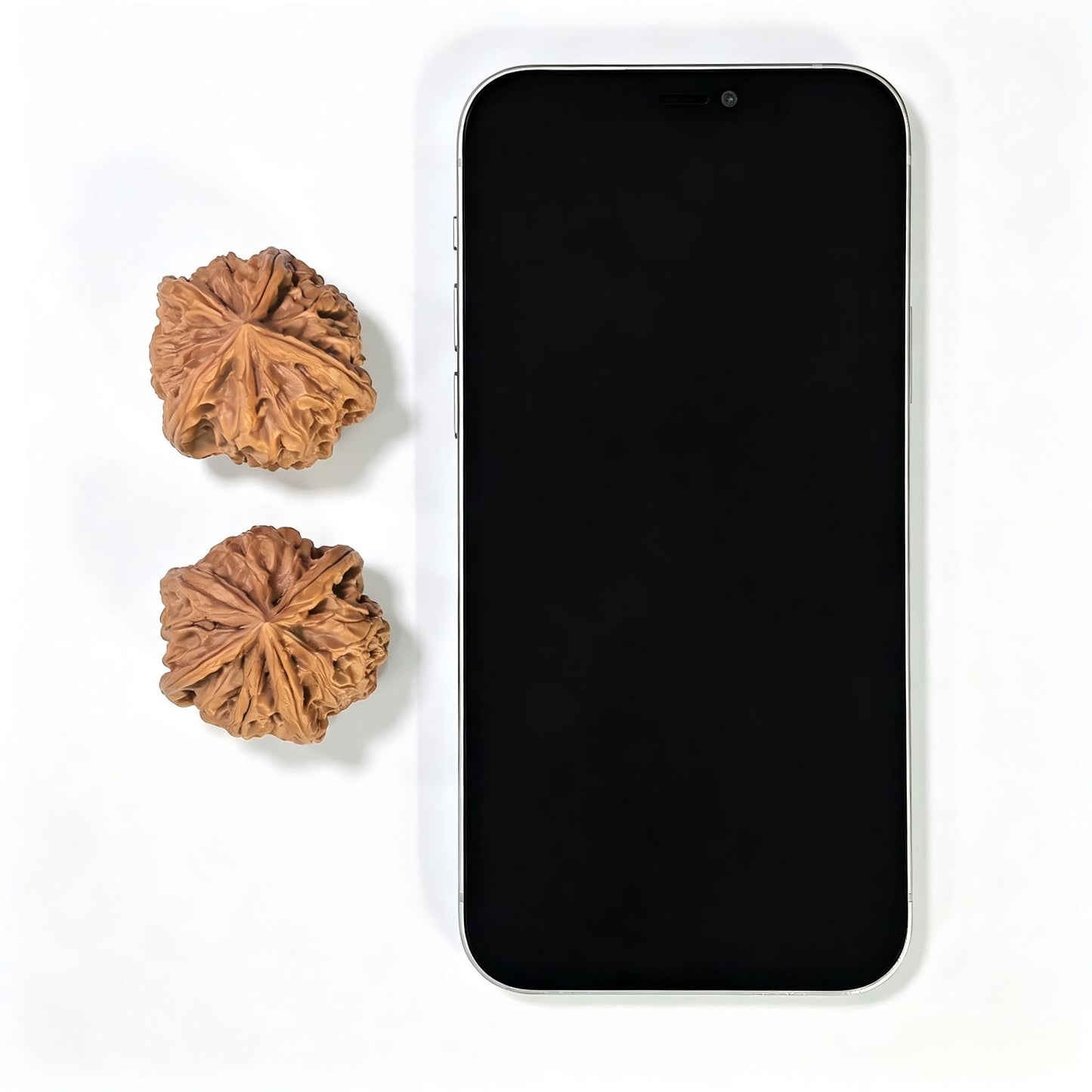"Imperial Jade Seal X-Men" Yuxi Sileng X-Zhanjing Four-Ribbed Wenwan Walnuts Pair | 36.0mm x 38.0mm | YSFN-C2210E