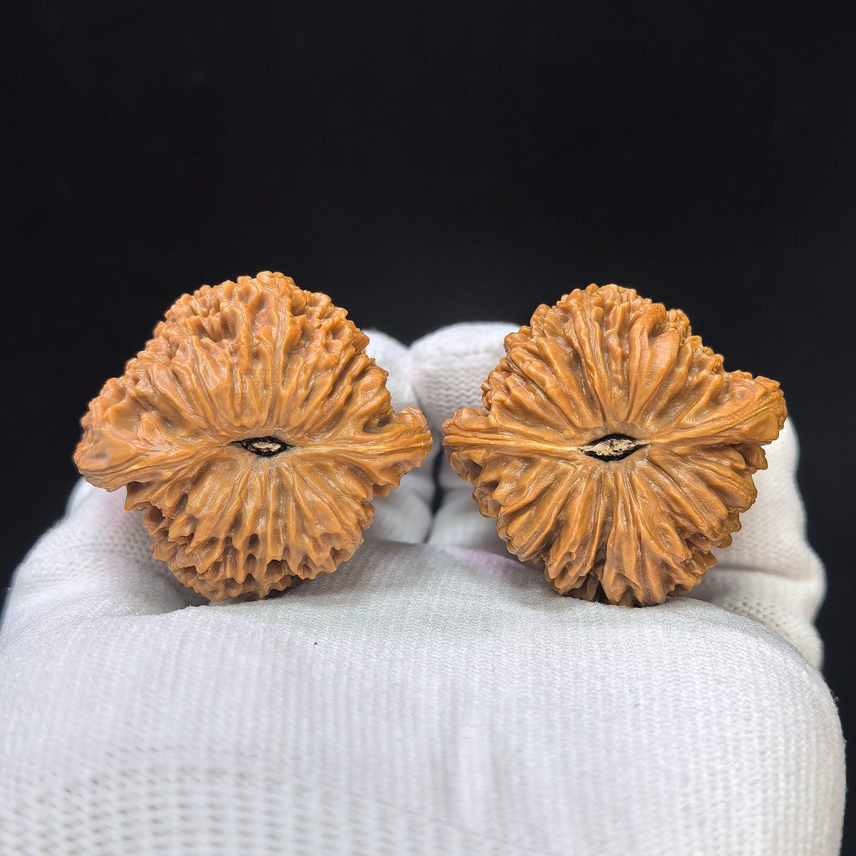 Peach-Heart Concave-Base Nanjiang Stone Wenwan Walnut Pair | 40.0mm x 38.0mm | TXBDNJS-17D9
