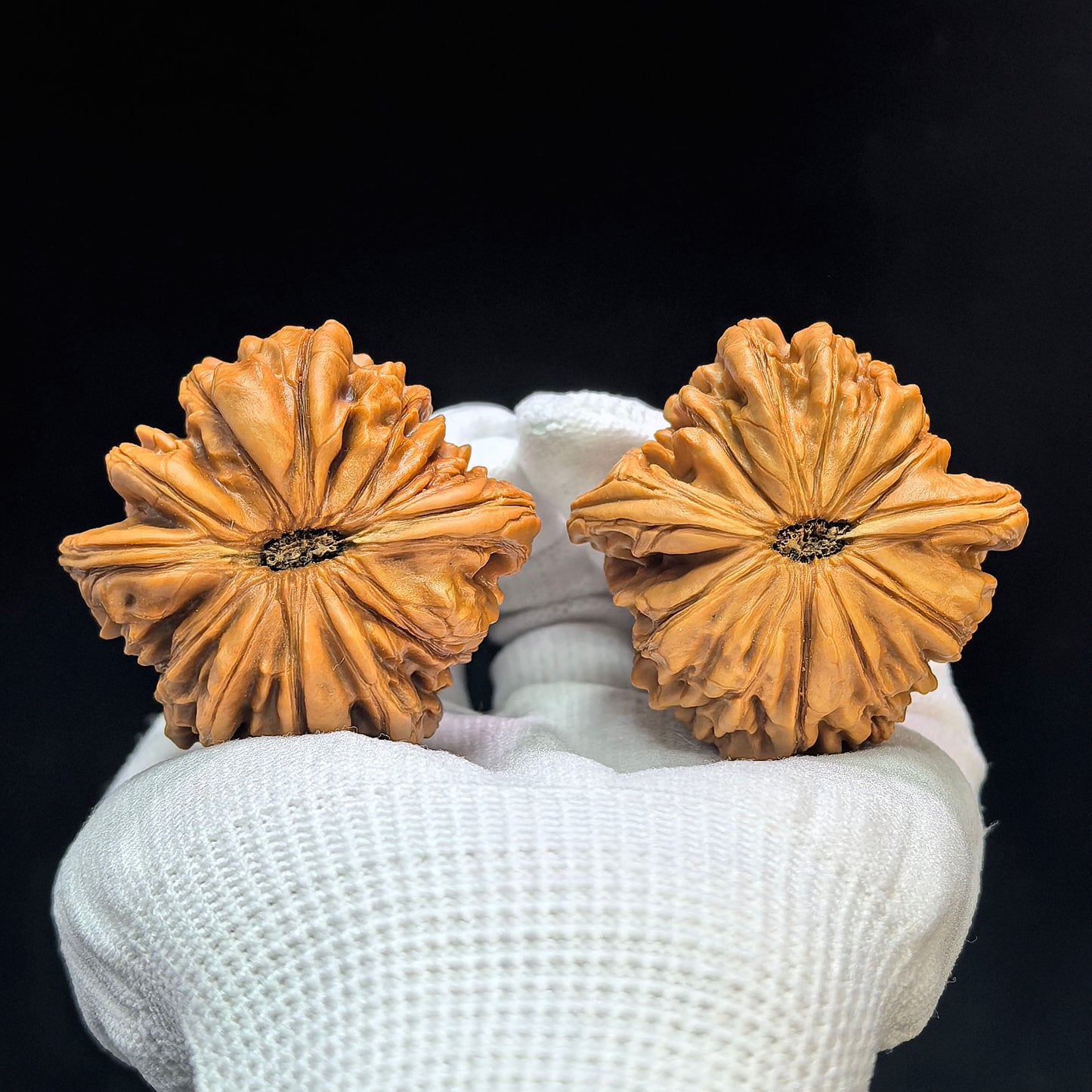 "Huakun Dragon" Huakunlong Low-Profile Wenwan Walnuts Pair | 48.0mm x 48.0mm | HKL-1503C