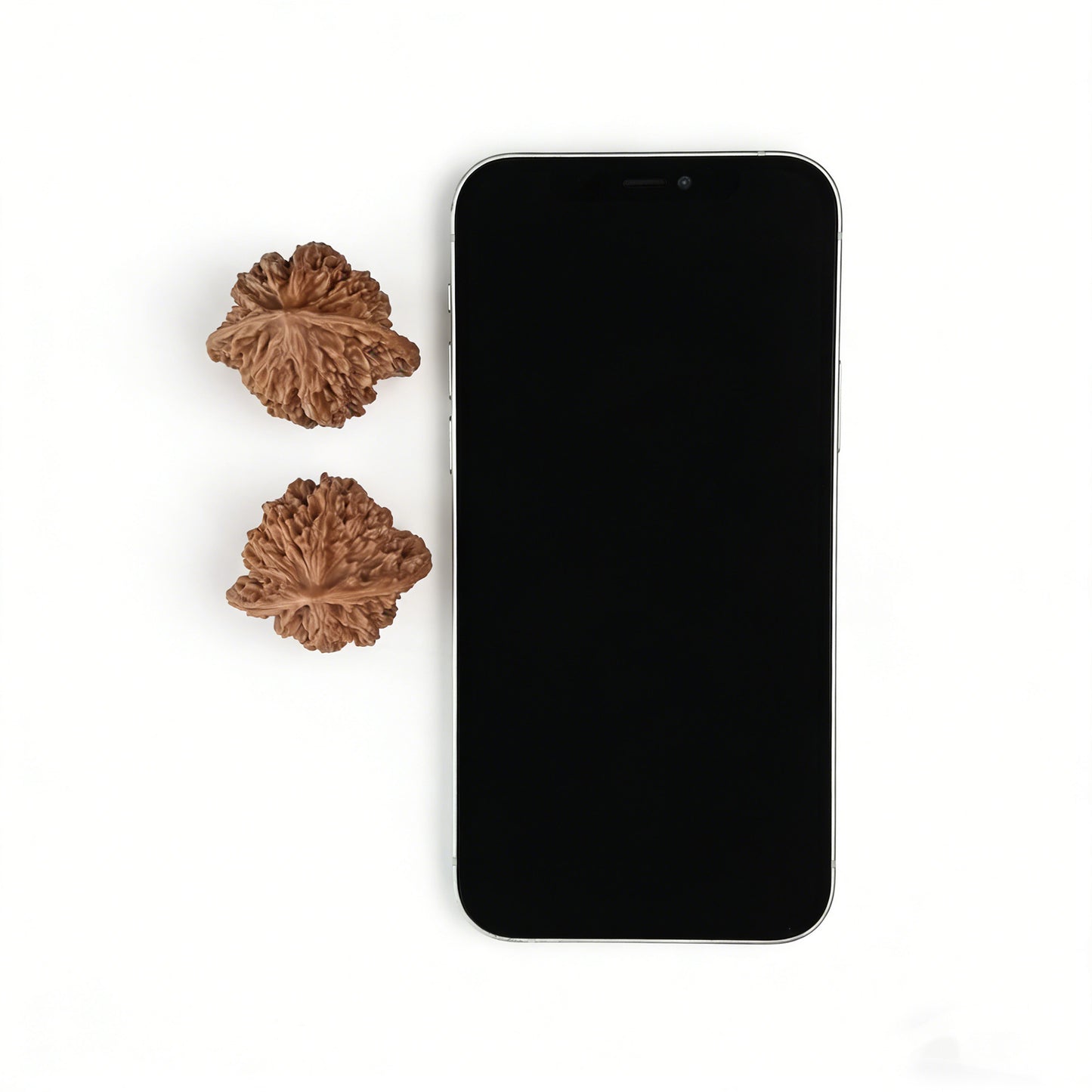 The "Coiled Dragon" (Pan Long Wen) Pair | 32.0mm x 32.0mm | PLW-01