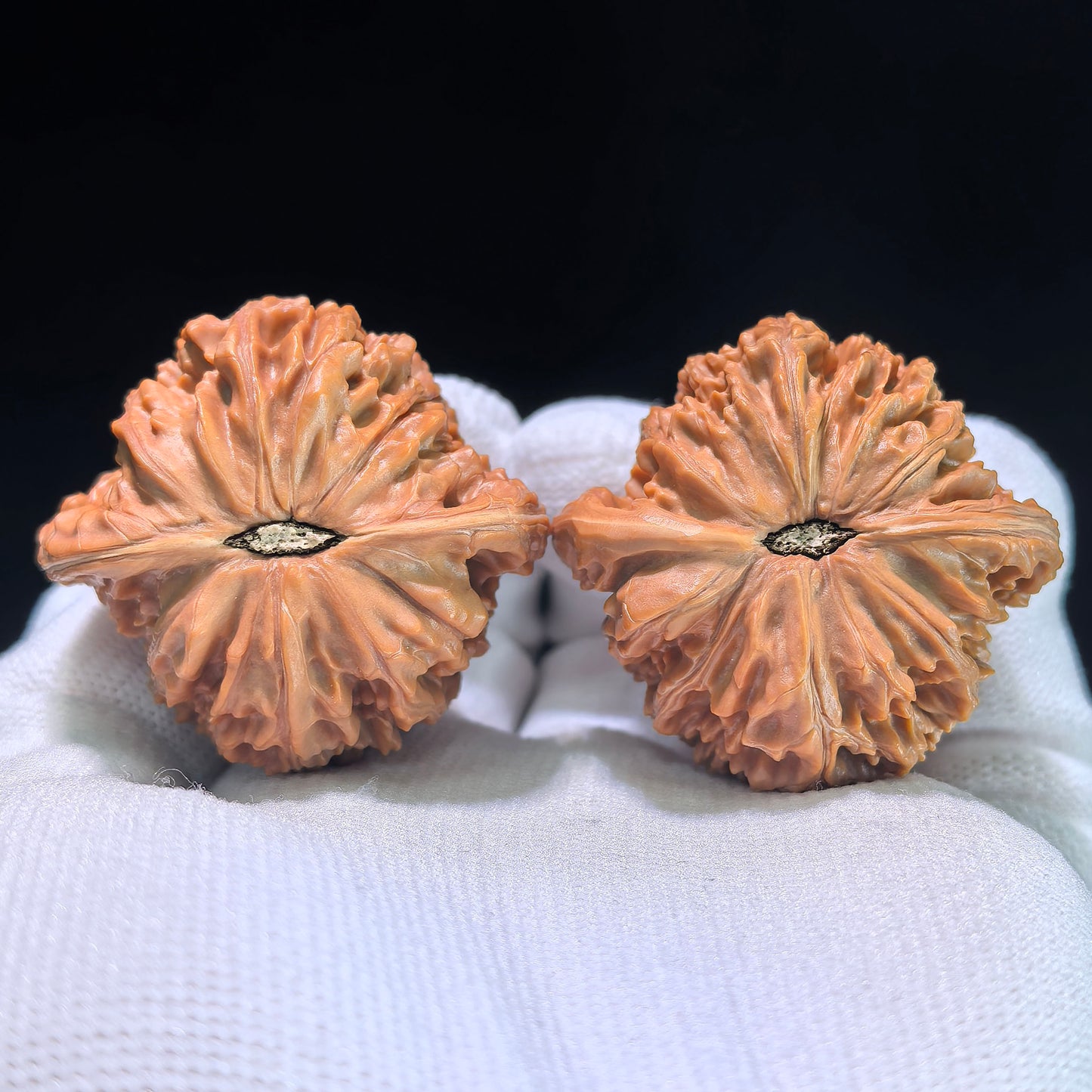 The Exquisite "Millstone" Mopan Boutique Selection Wenwan Walnuts | 41.0mm x 38.0mm | MP-1204