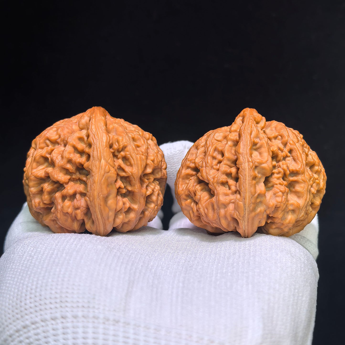 "Large Thick Rib" Dacujin Wenwan Walnuts Pair | 48.0mm x 47.0mm | DCJ-1551C