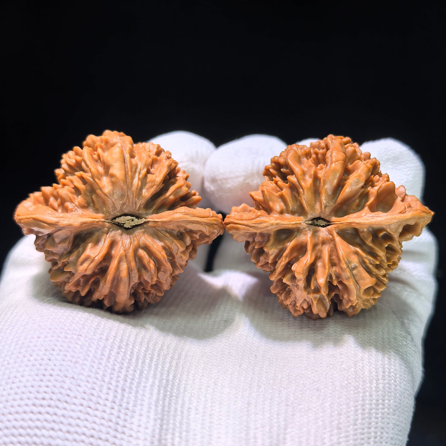 The Spectacular "Heart Center" Concave-Base Mantianxing Masterpiece | 43.0mm x 38.0mm | MTX-1201C