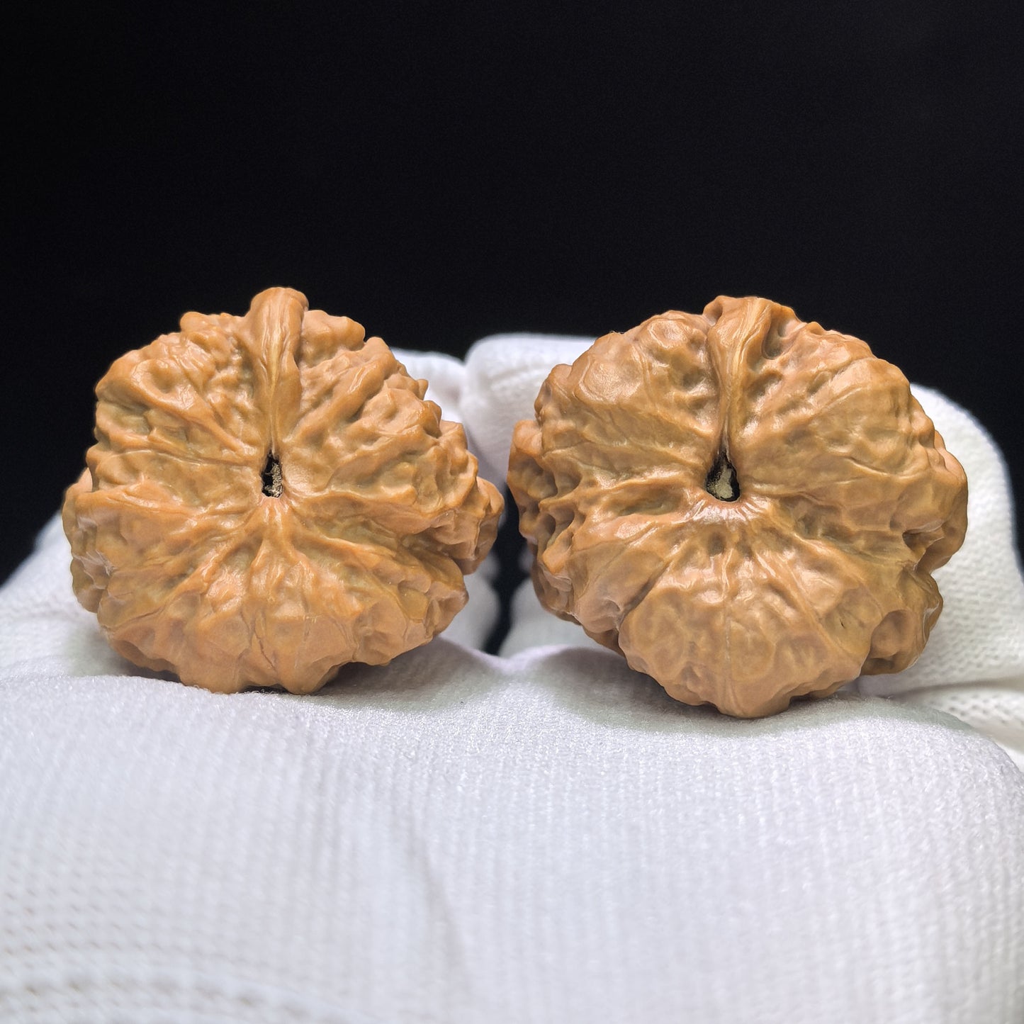 "Pocket Crystal Frog Half-Wall" Pocket Size Shuijingwa Banbi Wenwan Walnuts Pair | 34.0mm x 38.0mm | XZSJWBB-CG216E