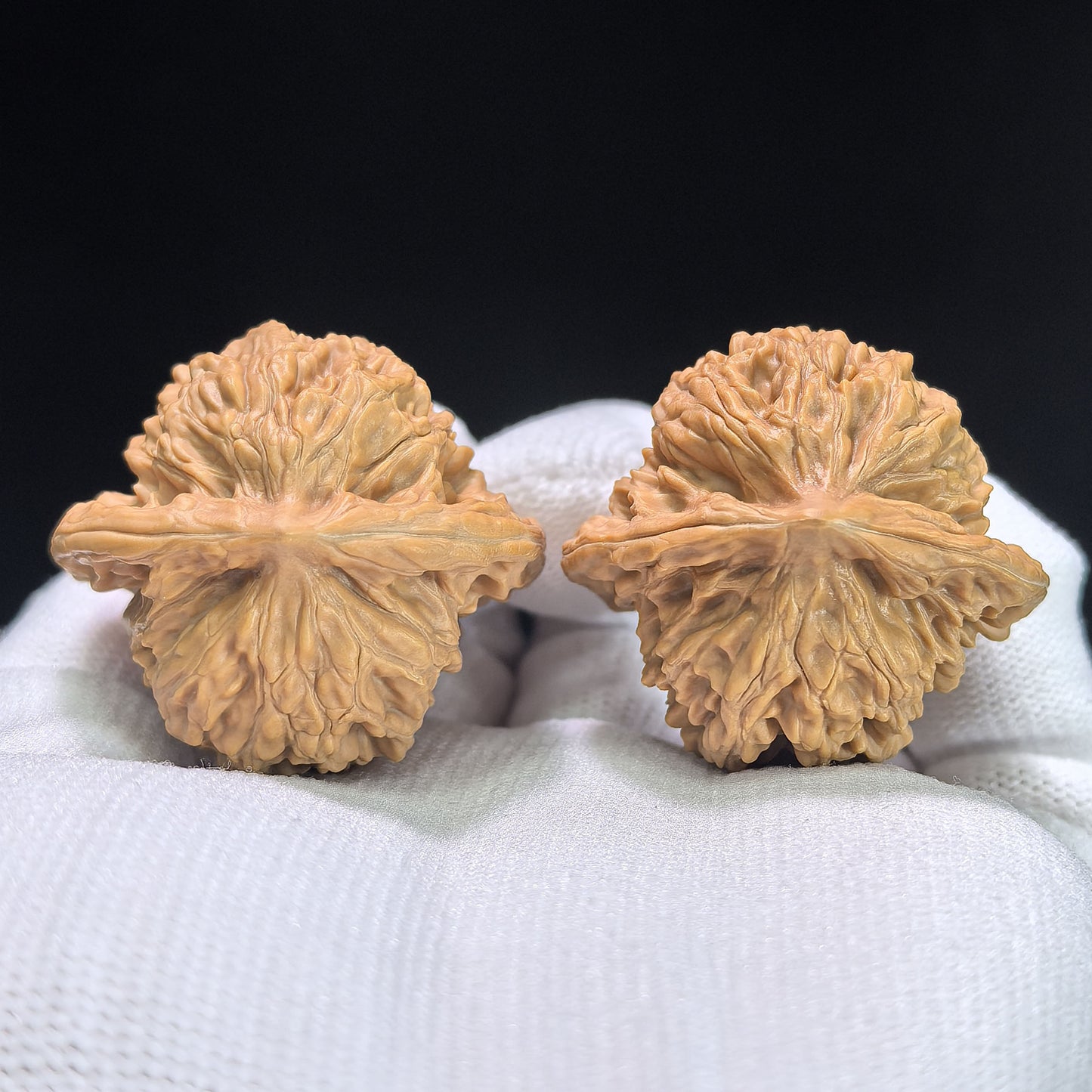 "Xiayun Ridge" Xiayunling Wenwan Walnuts (Pair) | 38.0mm x 35.0mm | Stock ID: XYL-1101