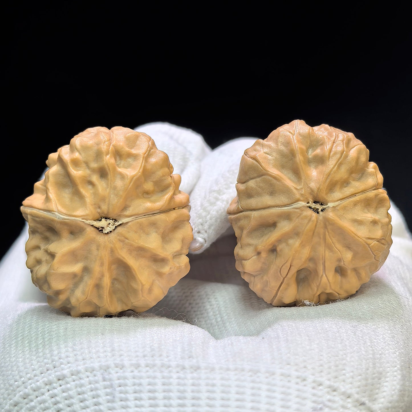 "Golden Toad Vessel" Jinchanzun JCZ-1601 Low-Profile Wenwan Walnuts Pair | 29.0mm x 34.0mm | JCZ-1601