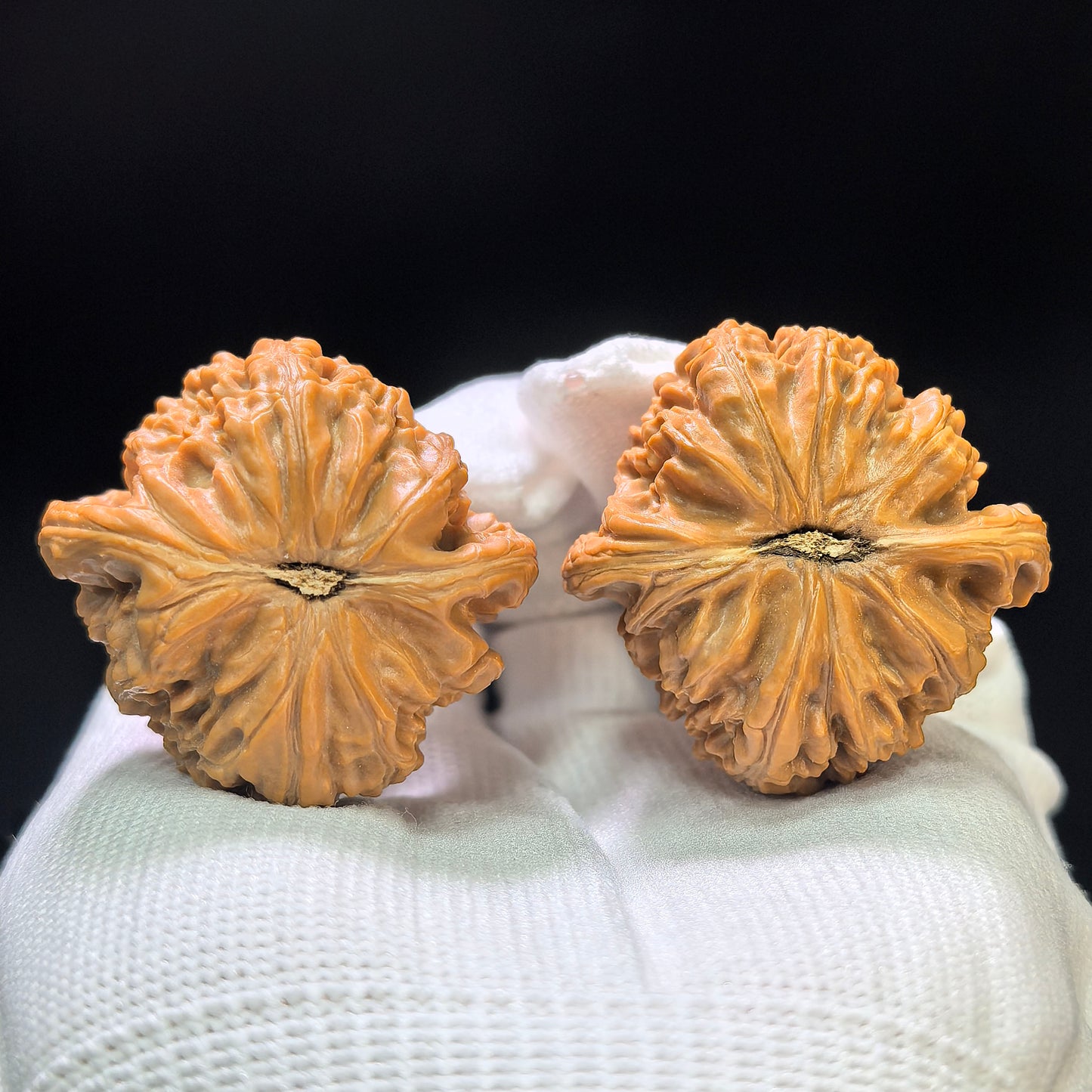 "Panshan" Panshan Wenwan Walnuts (Pair) | 39.0mm x 38.0mm | Stock ID: PS-1402