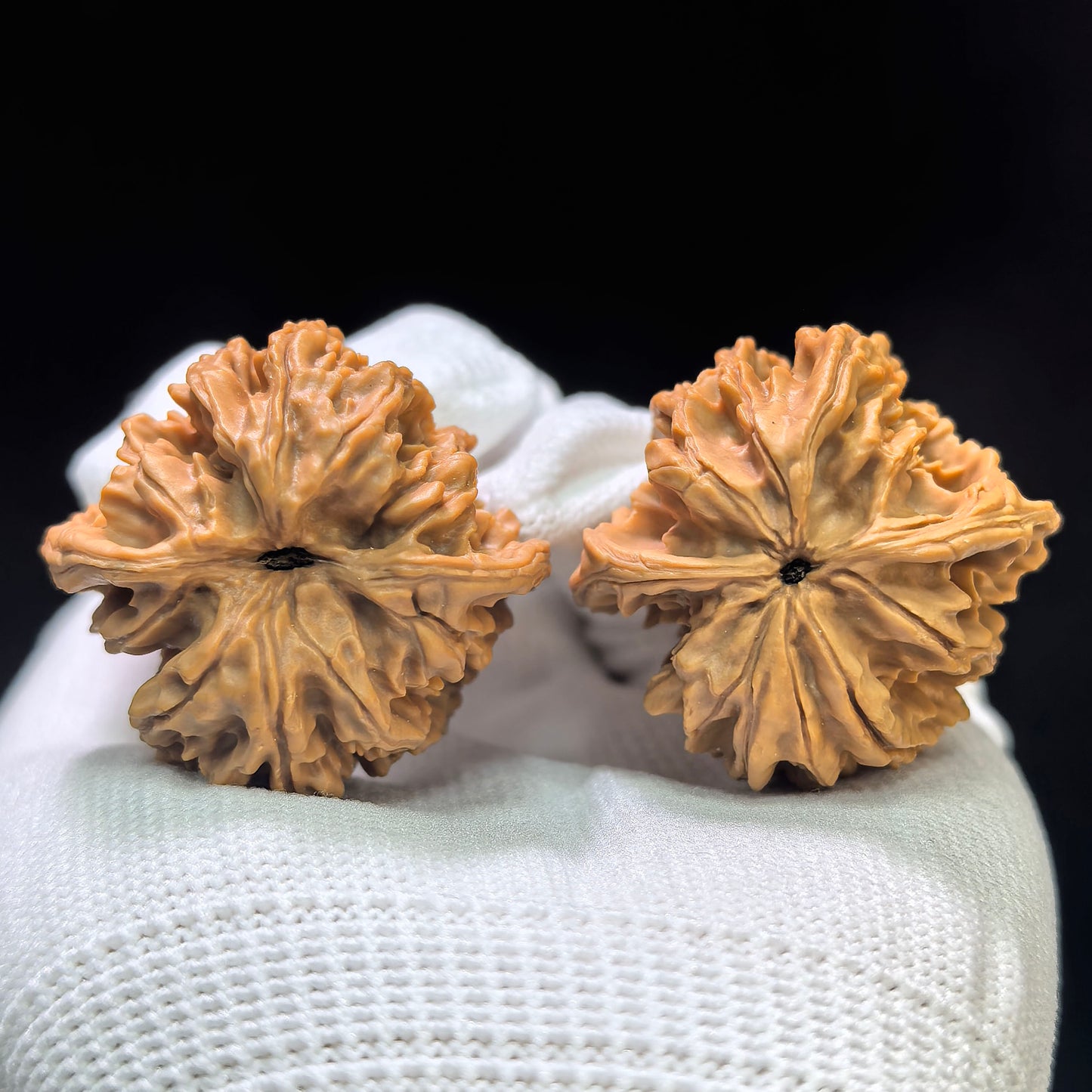 "Reaching Heaven Eight" Tongtianba TTB-1601 Classic Wenwan Walnuts Pair | 36.0mm x 35.0mm | TTB-1601