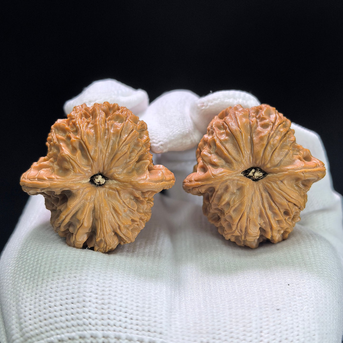 "Blood Kylin" Xueqilin Wenwan Walnuts (Pair) | 37.0mm x 37.0mm | Stock ID: XQL-1402