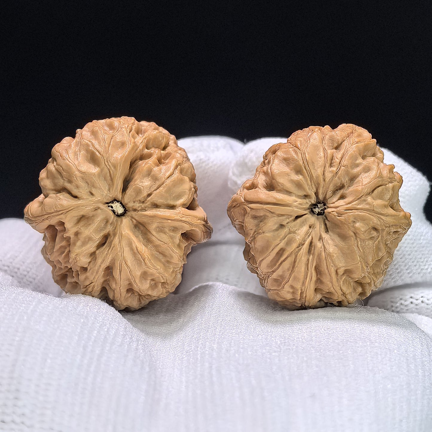 "Rain Flower Stone" Yuhuashi Hand-Twist Shou Nian Wenwan Walnuts (Pair) | 32.0mm x 33.0mm | Stock ID: YHS-1102