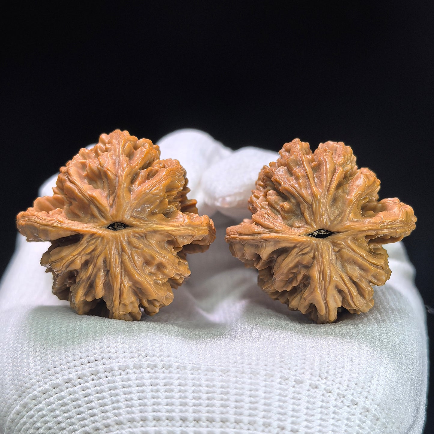 "Wheat Ear Tigerhead" Maisui Hutou MSHT-1403 Low-Profile Wenwan Walnuts Pair | 36.0mm x 35.0mm | MSHT-1403