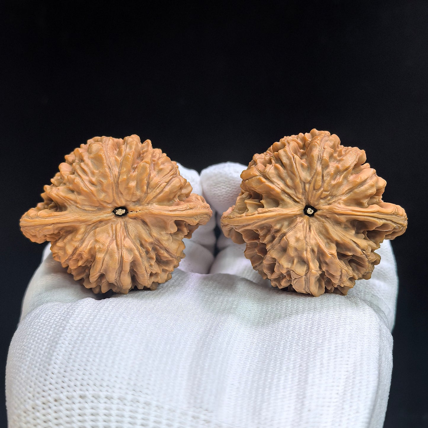 "Concave Base Peach Heart Qilin Texture" Aodi Taoxin Qilinwen BDTXQLW-17G9 Low-Profile Wenwan Walnuts Pair | 49.0mm x 41.0mm | BDTXQLW-17G9