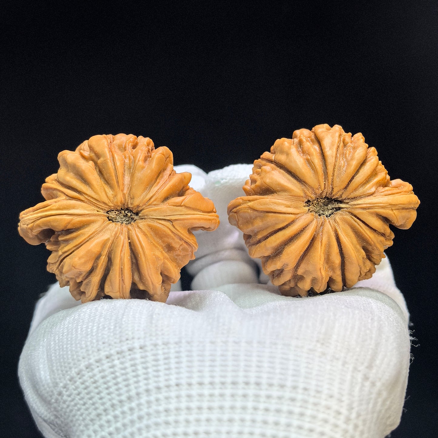 "Huakun Dragon" Huakunlong Low-Profile Wenwan Walnuts Pair | 46.0mm x 44.0mm | HKL-1502C