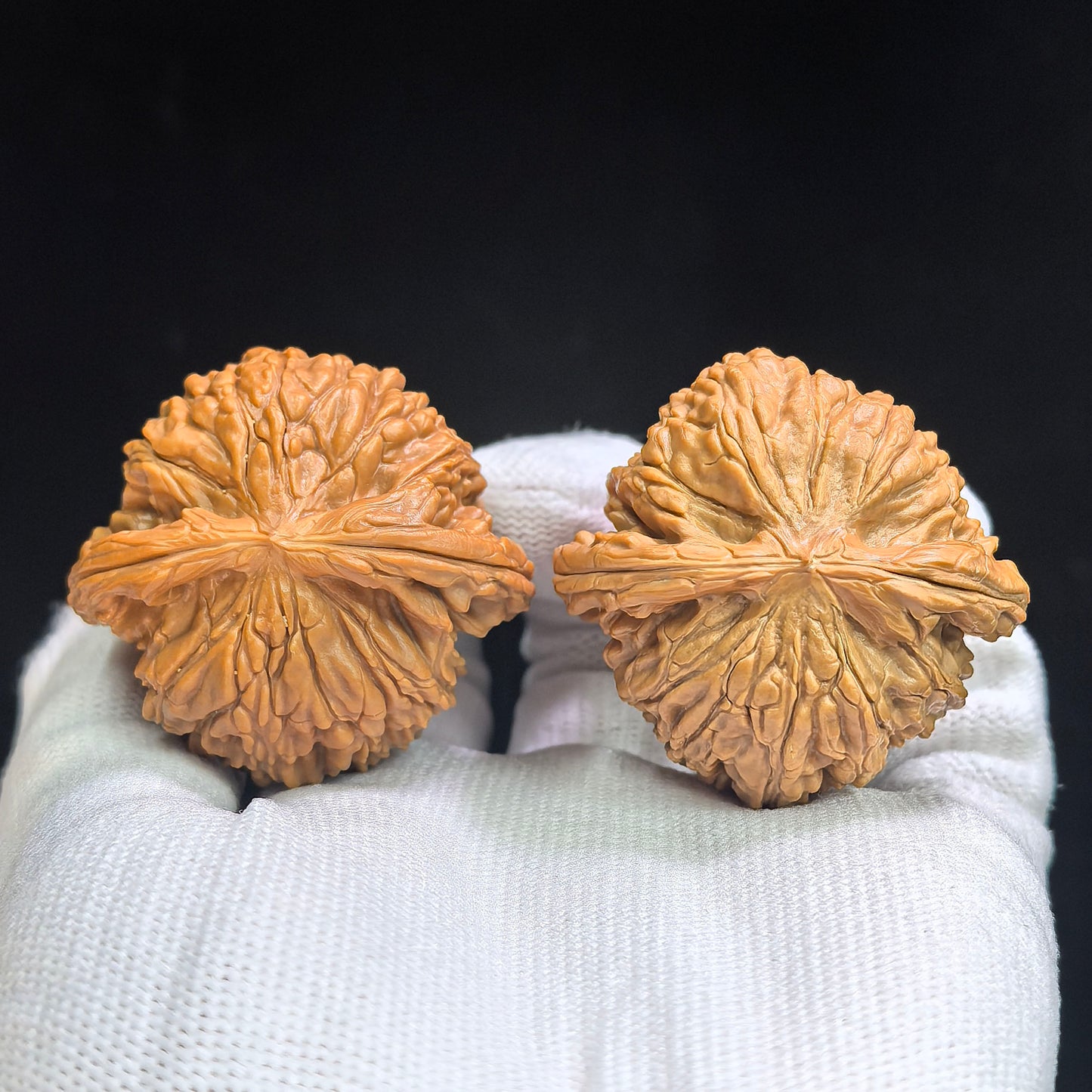 "Sunken Tip White Lionhead" Menjian Baishizi AJBSZ-17G8 Low-Profile Wenwan Walnuts Pair | 42.0mm x 40.0mm | AJBSZ-17G8